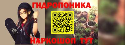 амф Нальчик